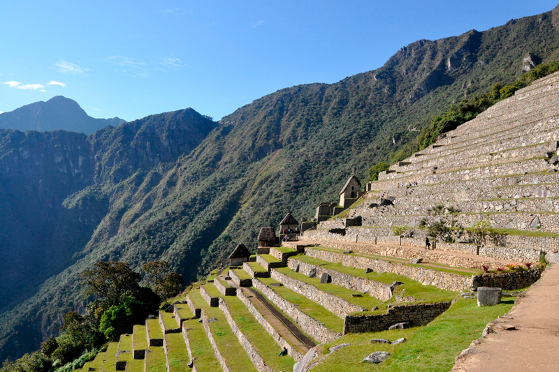 Andenes sector bajo Machu Picchu