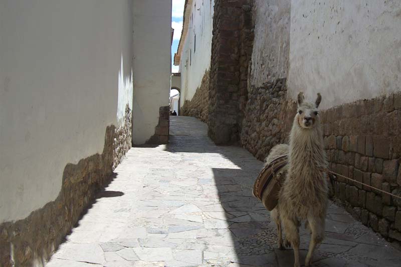 Calle Sieten Culebras