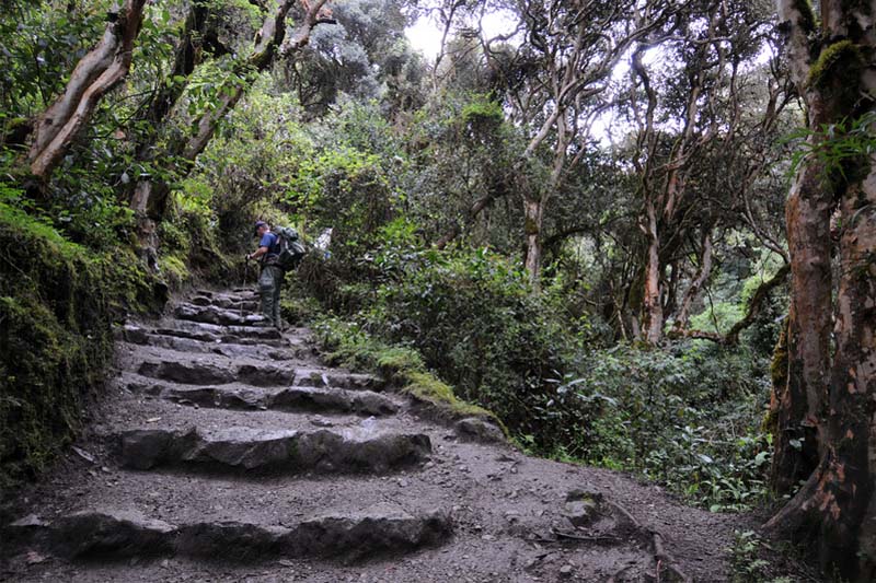Chemin Inca au Machu Picchu