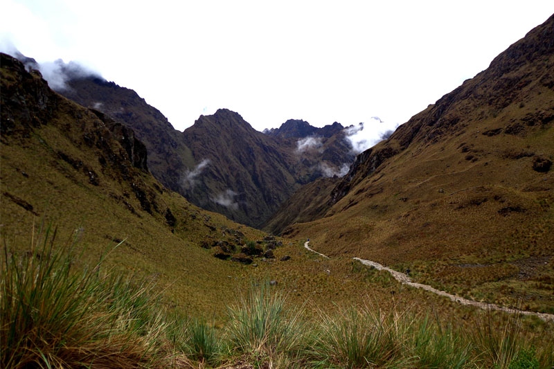 Camino Inca piasaje