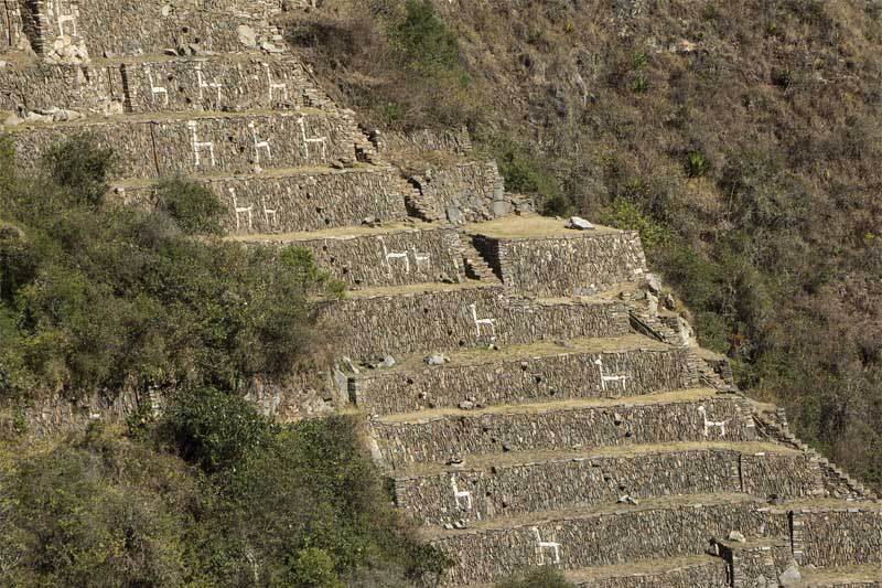 Figuras de llamas en los andenes de Choquequirao