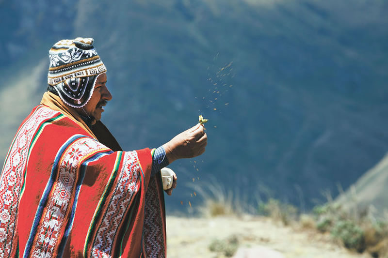 dioses inca Machu Picchu