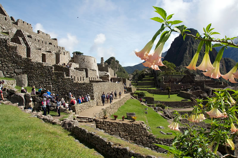 jardin botánico en machu picchu