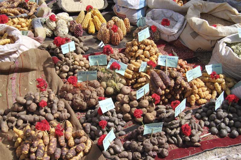 Organic Products- Pisac Market