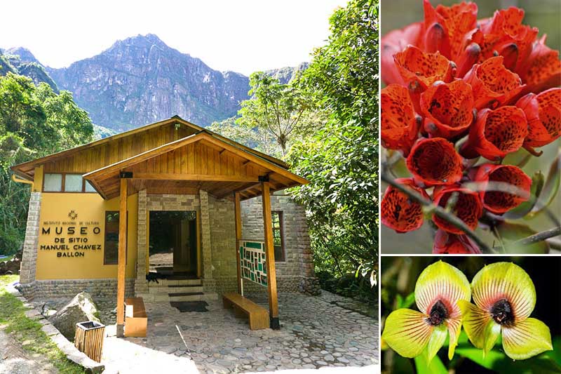 Machu Picchu Museum und Botanischer Garten