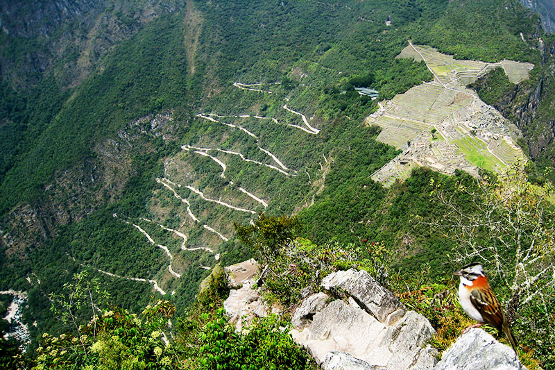 otras preguntas machu picchu