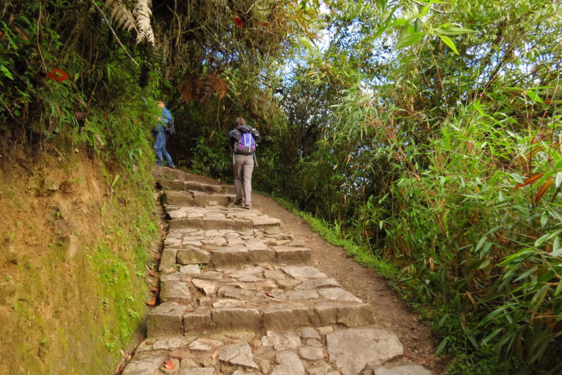 trekking aguas calientes to machu picchu