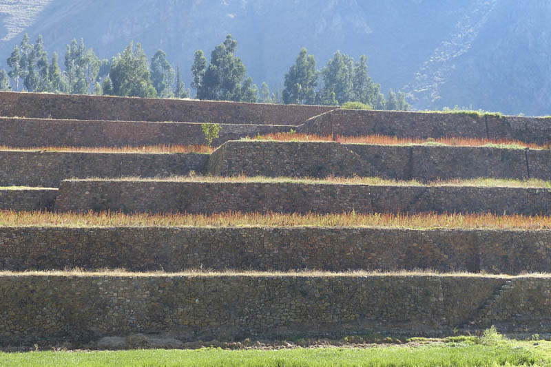 Terraços incas em Yucay