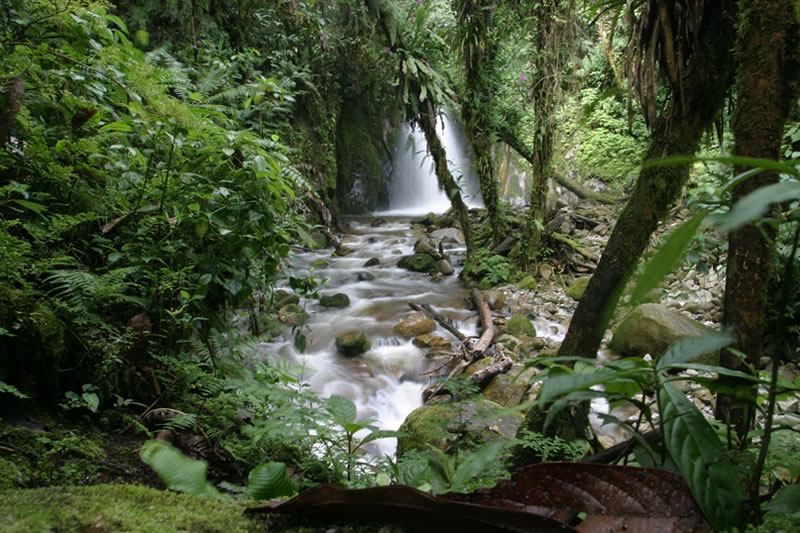 zona agraria Machu Picchu