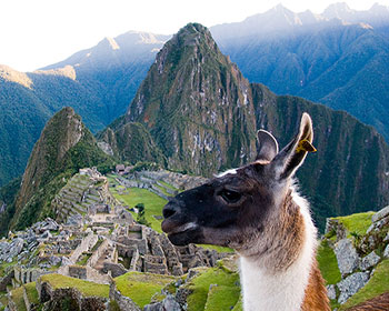 Otras preguntas sobre Machu Picchu