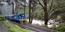 ¿Qué se necesita para llegar a Machu Picchu en tren?