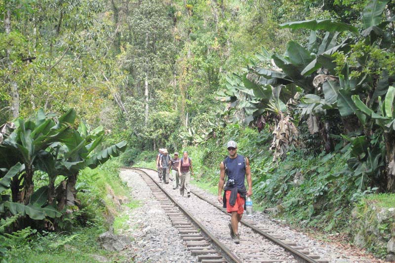 Hike to Machu Picchu by the Inca jungle trail