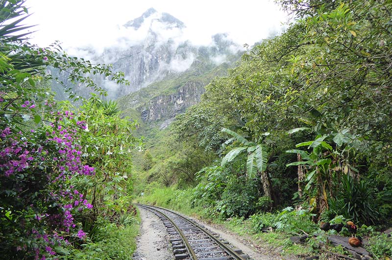 Paisaje de la ruta Santa Teresa hacia Machu Picchu