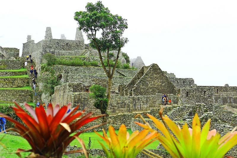 Naturaleza en Machu Picchu