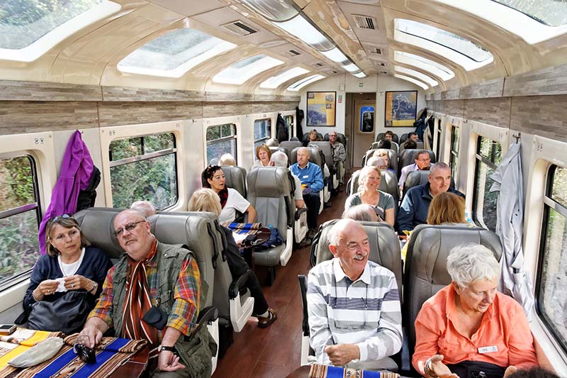 Interior del tren Vistadome