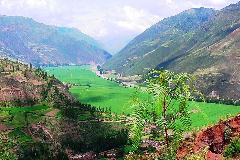 Verdor del Valle Sagrado en la termporada de lluvias