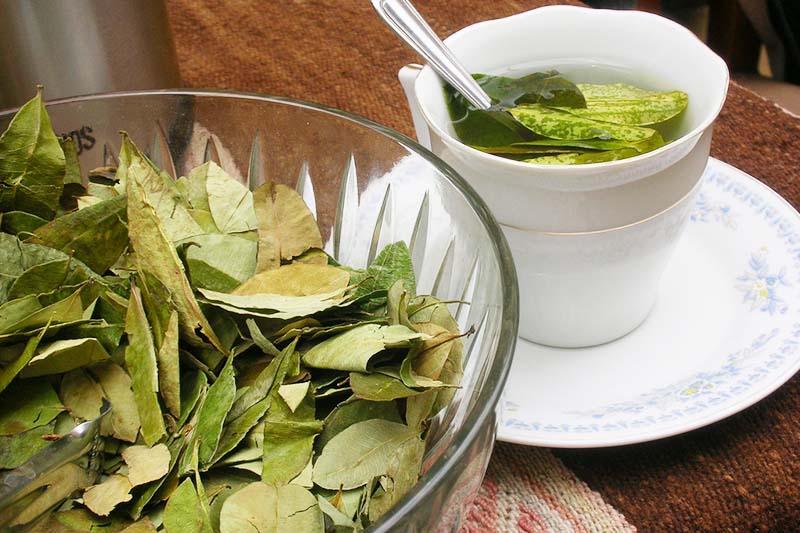 Coca tea in Cusco