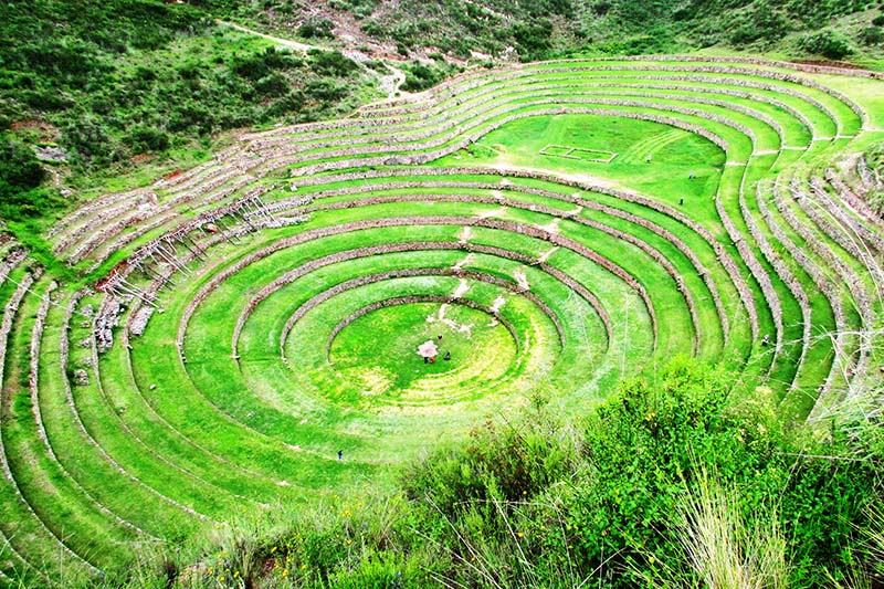 Terraces in Moray