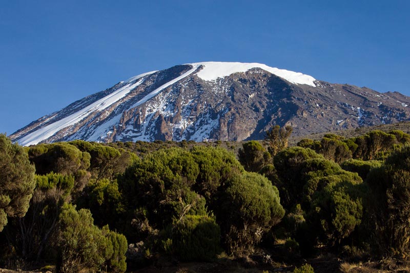 Monte Kilimanyaro Vista del Monte Kilimanyaro