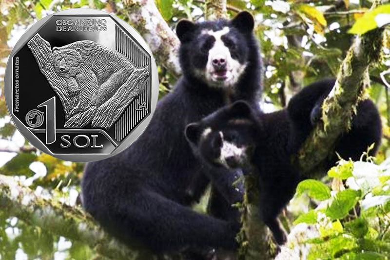 Moneda de un sol con la imagen de un oso de anteojos