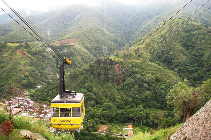 Teleferico en la selva