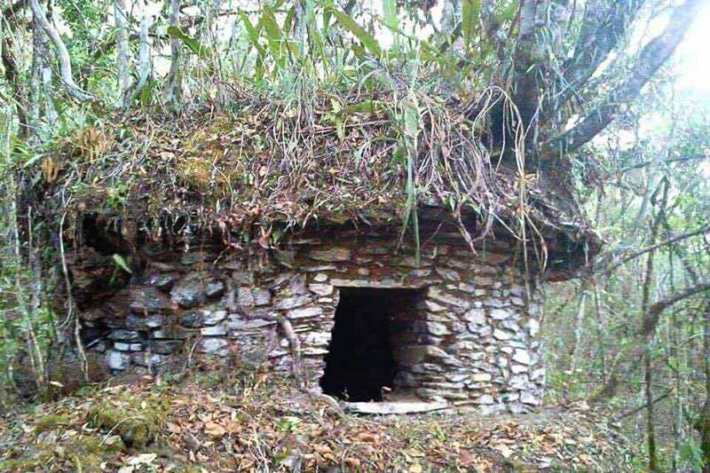 Descubren restos de  una ciudad perdida prehispánica en la selva de Cusco, en Perú