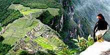 Machu Picchu reúne 400 tipos de aves y la mayor densidad de orquídeas en estado silvestre