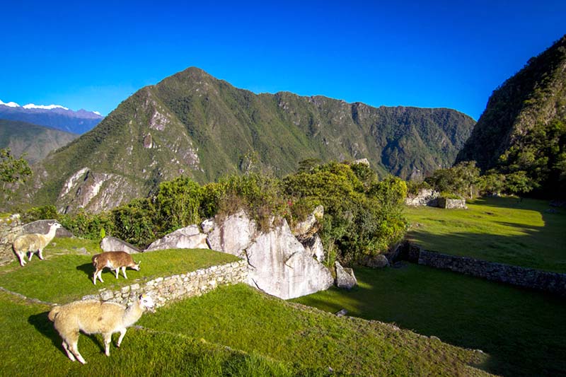 Cielo celeste en Machu Picchu durante la estación seca