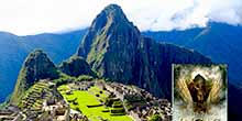 Top 10 mejores libros que explican Machu Picchu