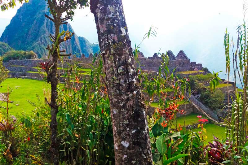 Machu Picchu en Primavera