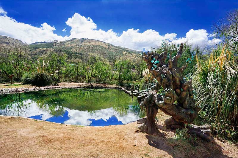 Humedal de Huasao