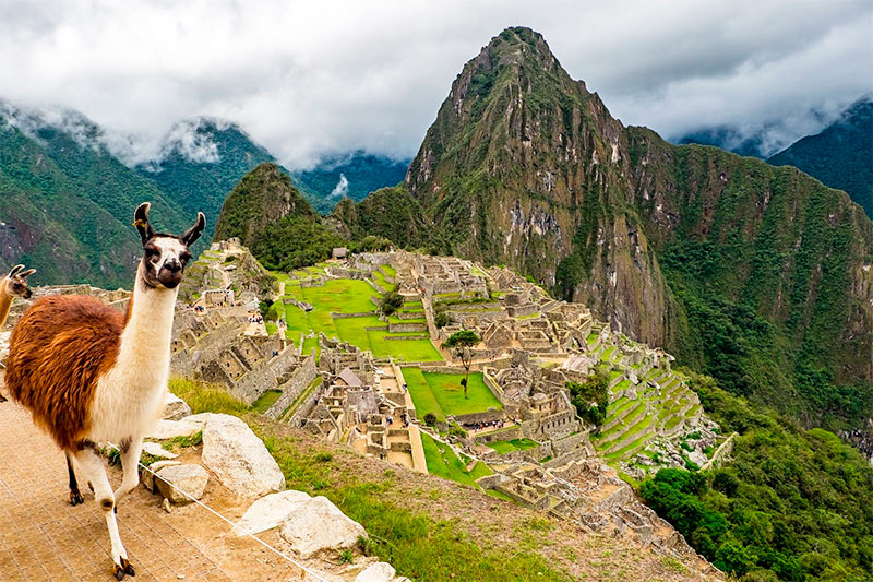 Machu Picchu square