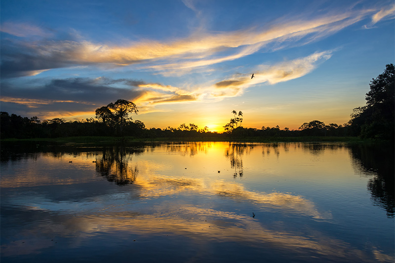 Tambopata