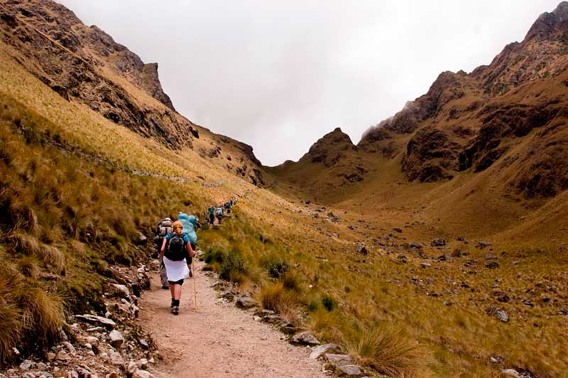 Conoce más acerca del Boleto Machu Picchu Solo