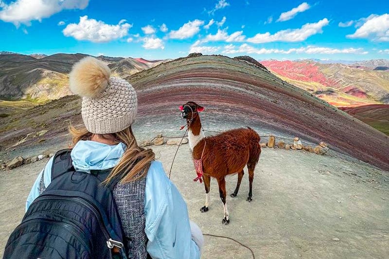 Llama en Palcoyo