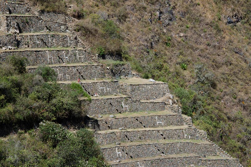 llamas do Sol Choquequirao