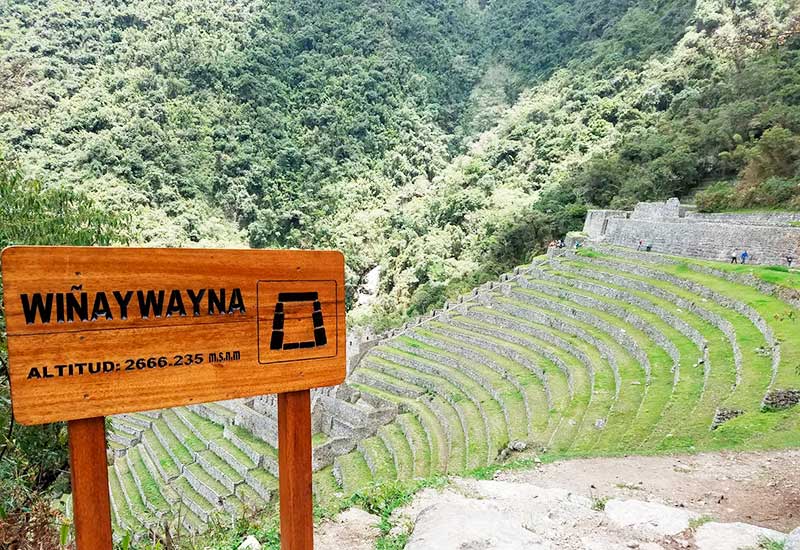 Inca Trail Andenes de Wiñaywayna 