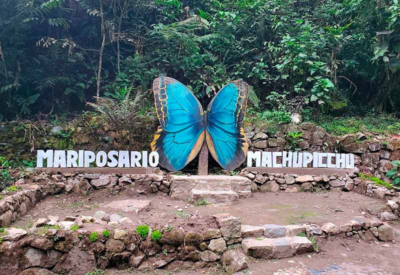 Machu Picchu Fazenda de borboletas 
