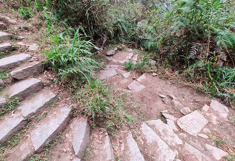 Hike - Machu Picchu