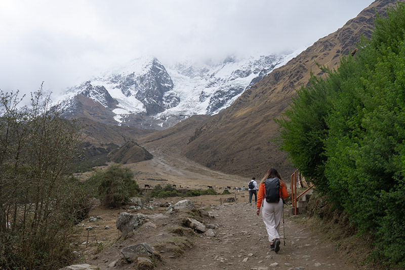 Camino hasta el Abra Salkantay