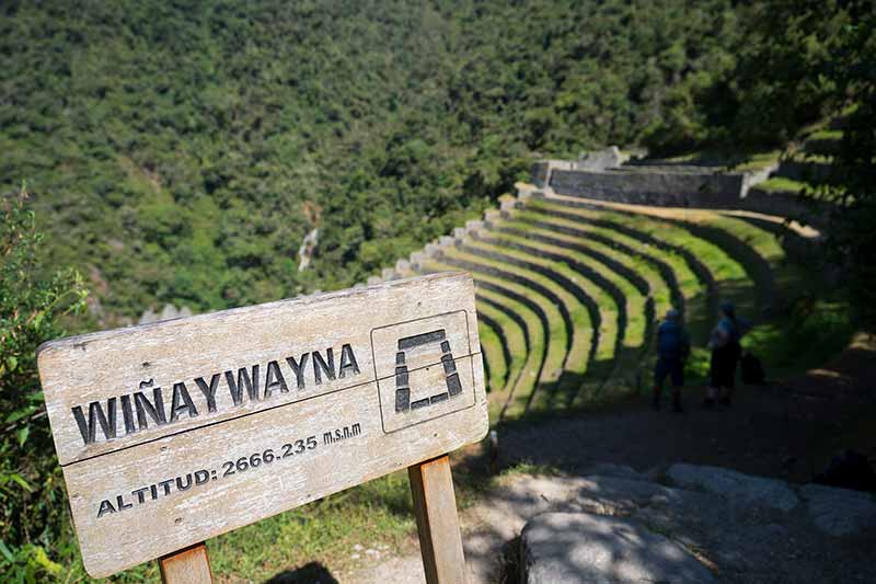 Conoce más acerca del Boleto Machu Picchu Solo