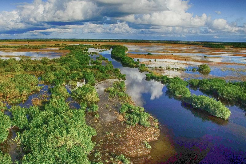 The Everglades