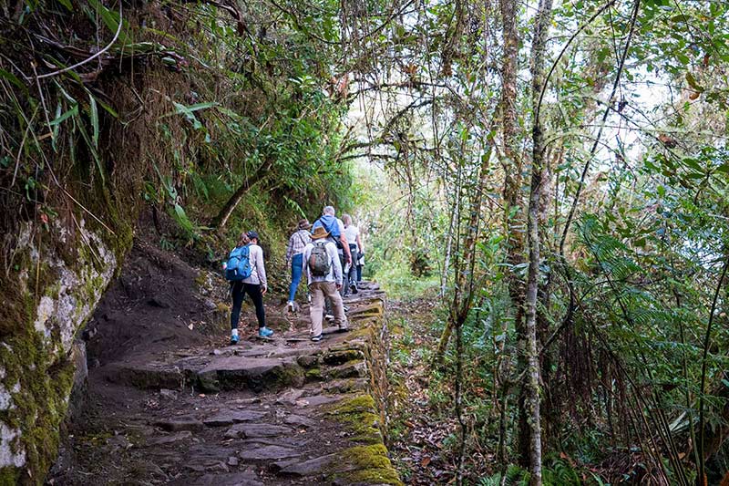 Turistas caminhando pela Trilha Inca até Machu Picchu