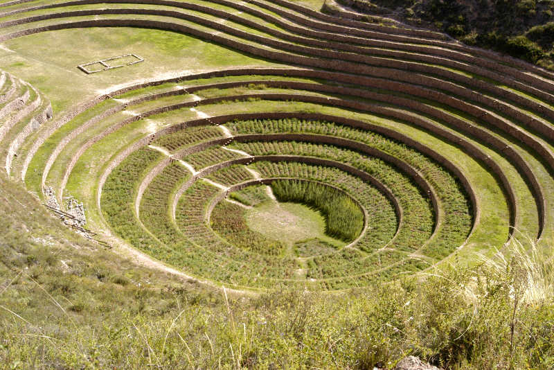 Moray circular platforms