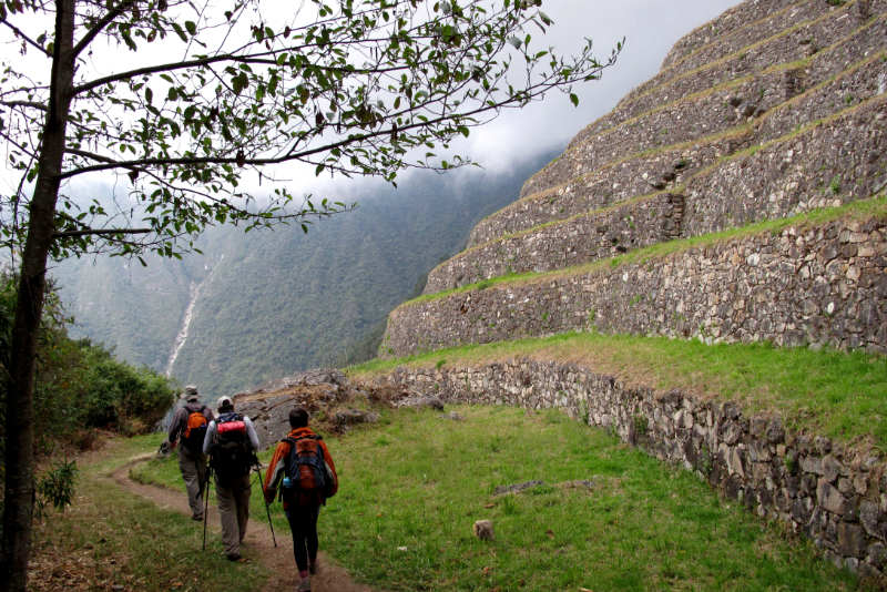 Andenes en el Camino Inca