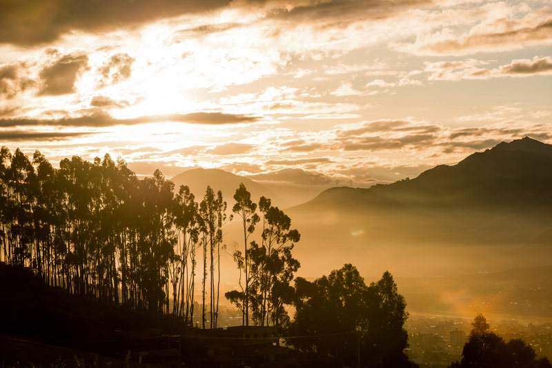 Amanecer en el bosque de Qenqo