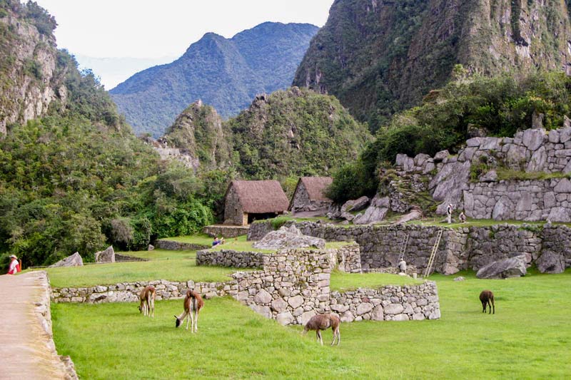 Beautiful green scenery of Machu Picchu in the low season