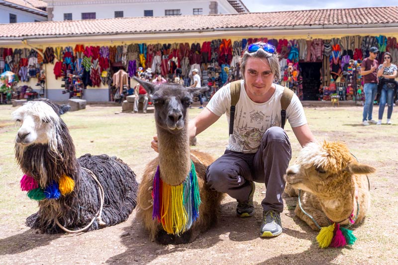 Photograph of a tourist with llamas