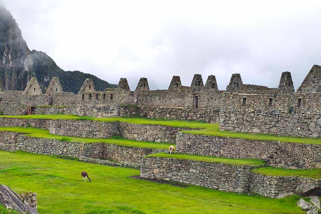 Amigas visitando a Maravilha do Mundo - Machu Picchu
