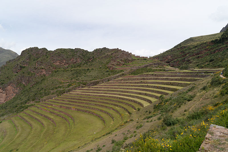 Andes de Pisac